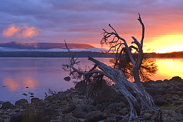 Sunrise, Lake St. Clair, Cradle Mountain Lake St. Clair National Park, UNESCO World Heritage Site, Tasmania, Australia, Pacific