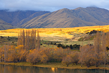 Glendhu Bay, Lake Wanaka, Wanaka, Central Otago, South Island, New Zealand, Pacific