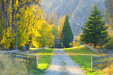 Gravel road, Wanaka, Central Otago, South Island, New Zealand, Pacific