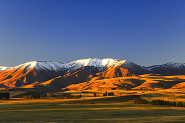 Hawkdun Range, Ranfurly, Central Otago, South Island, New Zealand, Pacific