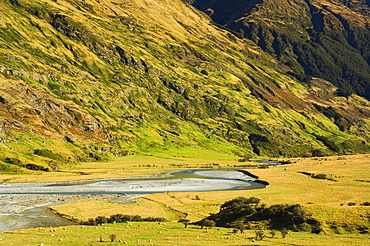 Matukituki Valley, Mount Aspiring National Park, Central Otago, South Island, New Zealand, Pacific