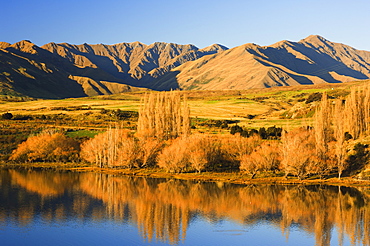 Glendhu Bay, Lake Wanaka, Wanaka, Central Otago, South Island, New Zealand, Pacific