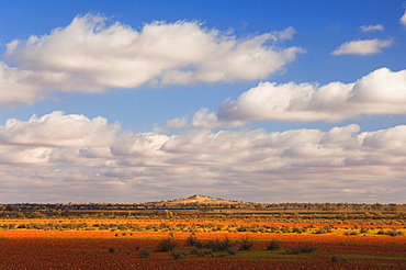 Outback scenery, near White Cliffs, New South Wales, Australia, Pacific