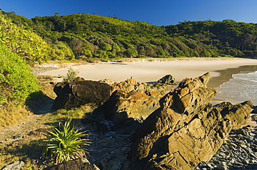 Kings Beach, Broken Head National Reserve, Byron Bay, New South Wales, Australia, Pacific