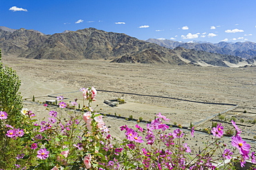 Indus Valley and Ladakh Range, Tikse (Tiksay), Ladakh, Indian Himalayas, India, Asia