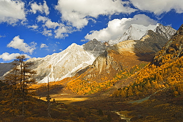 Xiaruoduojio mountain, Yading Nature Reserve, Sichuan Province, China, Asia