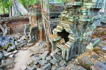 Ta Prohm temple, Angkor, UNESCO World Heritage Site, Siem Reap, Cambodia, Indochina, Southeast Asia, Asia