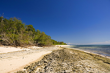 Green Island, Great Barrier Reef, Cairns, Queensland, Australia, Pacific