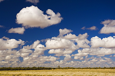 Outback scenery, Queensland, Australia, Pacific