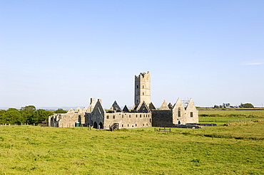 Moyne Friary, near Killala, County Mayo, Connacht, Republic of Ireland, Europe