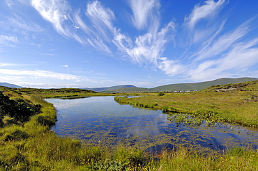 Achill Island near Cashel, County Mayo, Connacht, Republic of Ireland, Europe