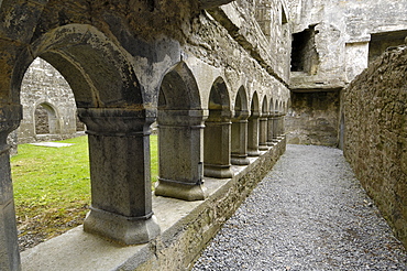 Cloister, Ross Errilly Franciscan Friary, near Headford, County Galway, Connacht, Republic of Ireland, Europe