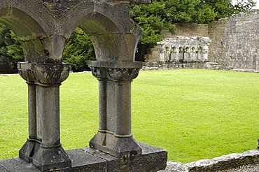 Cong Abbey, County Mayo, Connacht, Republic of Ireland, Europe