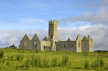 Ross Errilly Franciscan Friary, near Headford, County Galway, Connacht, Republic of Ireland, Europe