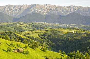 Transylvanian Alps, near Fundata, Transylvania, Romania, Europe