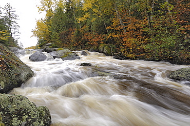 Rapids between Mora Lake and Little Saganaga Lake, Boundary Waters Canoe Area Wilderness, Superior National Forest, Minnesota, United States of America, North America