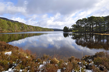 Loch an Eilein, near Aviemore, Cairngorms National Park, Highlands, Scotland, United Kingdom, Europe