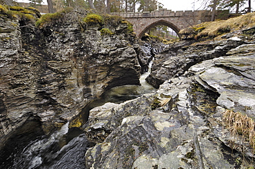 Linn of Dee, near Braemar, Cairngorms National Park, Aberdeenshire, Scotland, United Kingdom, Europe