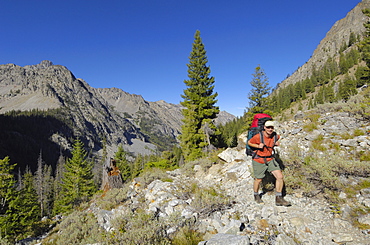 Hiking in the Baron Creek valley, Sawtooth Mountains, Sawtooth Wilderness, Sawtooth National Recreation Area, Rocky Mountains, Idaho, United States of America, North America