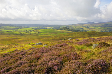 Fleet Valley from Castramont Hill, Dumfries and Galloway, Scotland, United Kingdom, Europe