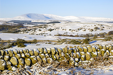 Cairnsmore of Fleet in winter snow, from Knocktinkle Viewpoint, Dumfries and Galloway, Scotland, United Kingdom, Europe