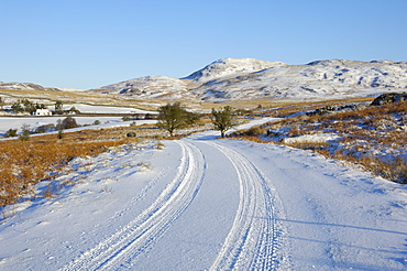 Road in winter snow, Dumfries and Galloway, Scotland, United Kingdom, Europe