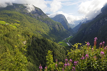 View from Stalheim, Naeroydalen valley, Norway, Scandinavia, Europe