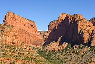 Kolob Canyons, Zion National Park, Utah, United States of America, North America