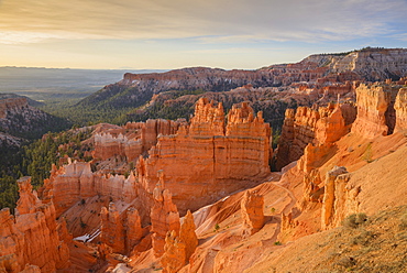 Bryce Canyon at dawn, from Sunset Point, Bryce Canyon National Park, Utah, United States of America, North America