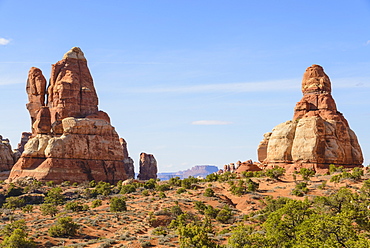 Chesler Park, The Needles section of Canyonlands National Park, Utah, United States of America, North America