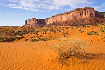 Monument Valley, view from Wildcat Trail, Arizona, United States of America, North America