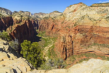 View from Angels Landing, Zion National Park, Utah, United States of America, North America