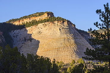 Checkerboard Mesa, Zion National Park, Utah, United States of America, North America