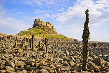 Lindisfarne Castle, Holy Island, Northumberland, England, United Kingdom, Europe