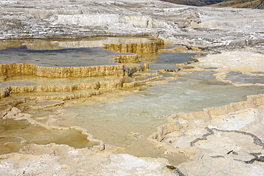 Canary Spring, Travertine Terraces, Mammoth Hot Springs, Yellowstone National Park, UNESCO World Heritage Site, Wyoming, United States of America, North America