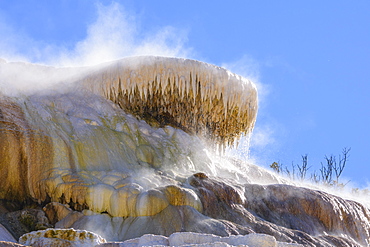 Palette Spring, Travertine Terraces, Mammoth Hot Springs, Yellowstone National Park, UNESCO World Heritage Site, Wyoming, United States of America, North America