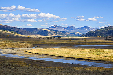 Lamar Valley, Yellowstone National Park, UNESCO World Heritage Site, Wyoming, United States of America, North America