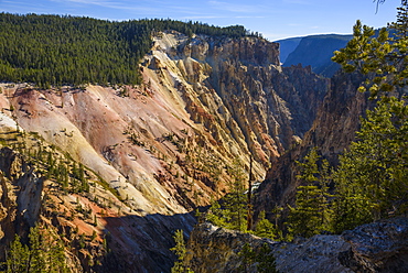 Grand Canyon of the Yellowstone River, Yellowstone National Park, UNESCO World Heritage Site, Wyoming, United States of America, North America