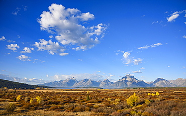 Willow Flats and Teton Range, Grand Tetons National Park, Wyoming, United States of America, North America