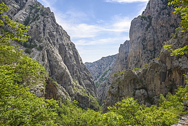 Limestone gorge, Paklenica National Park, Croatia, Europe