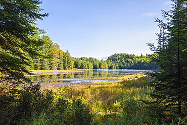 River and Highland Backpacking Trail in Algonquin Provincial Park, Ontario, Canada, North America