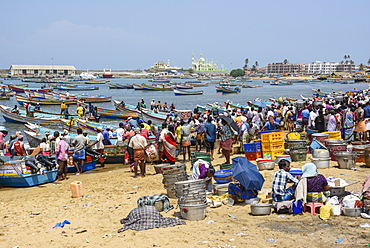 Vizhinjam beach fish market, near Kovalam, Kerala, India, South Asia