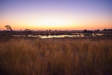 Sunset over the Bushman Plains, Okavango Delta, Botswana, Africa