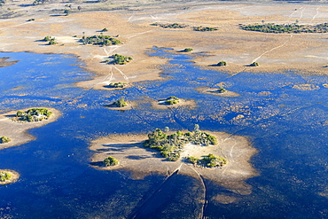 Aerial view of Okavango Delta, Botswana, Africa