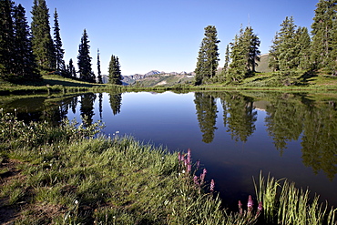 Paradise Divide, Grand Mesa-Uncompahgre-Gunnison National Forest, Colorado, United States of America, North America