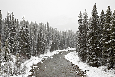 Malign River in winter, Jasper National Park, UNESCO World Heritage Site, Alberta, Canada, North America