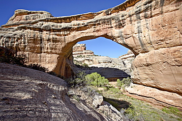 Sipapu Natural Bridge, Natural Bridges National Monument, Utah, United States of America, North America