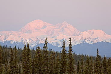 Mount McKinley (Mount Denali), Denali Highway, Alaska, United States of America, North America