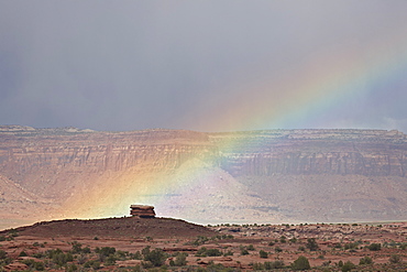 Rainbow, Canyon Country, Utah, United States of America, North America