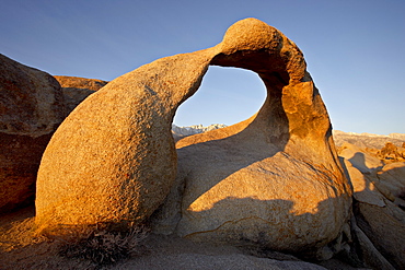 Mobius Arch framing Mt. Whitney at dawn, Alabama Hills, Inyo National Forest, California, United States of America, North America